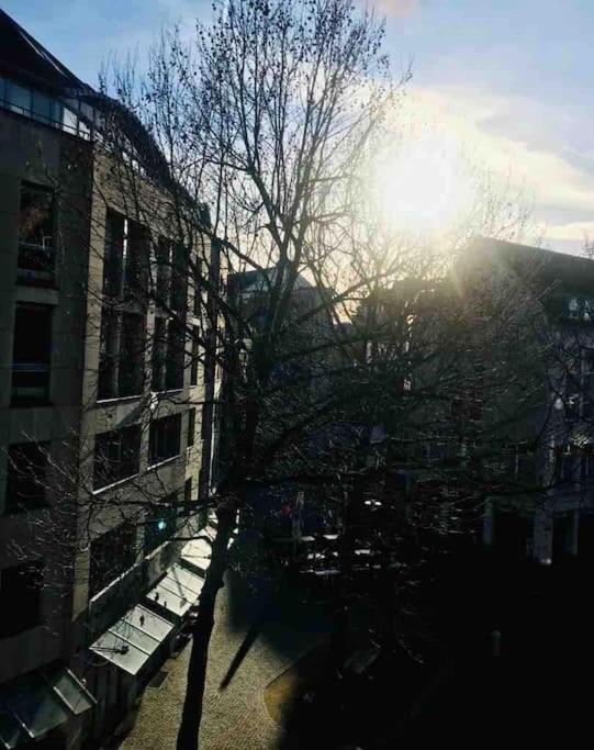 Charmantes 1Zi Apartment Im Herzen Von Braunschweig Mit Balkon Dış mekan fotoğraf